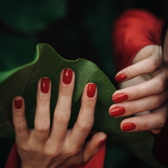 Coconut Lime Body Butter